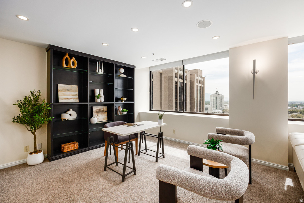 44 W 300 S #1207S Salt Lake City, UT 84101