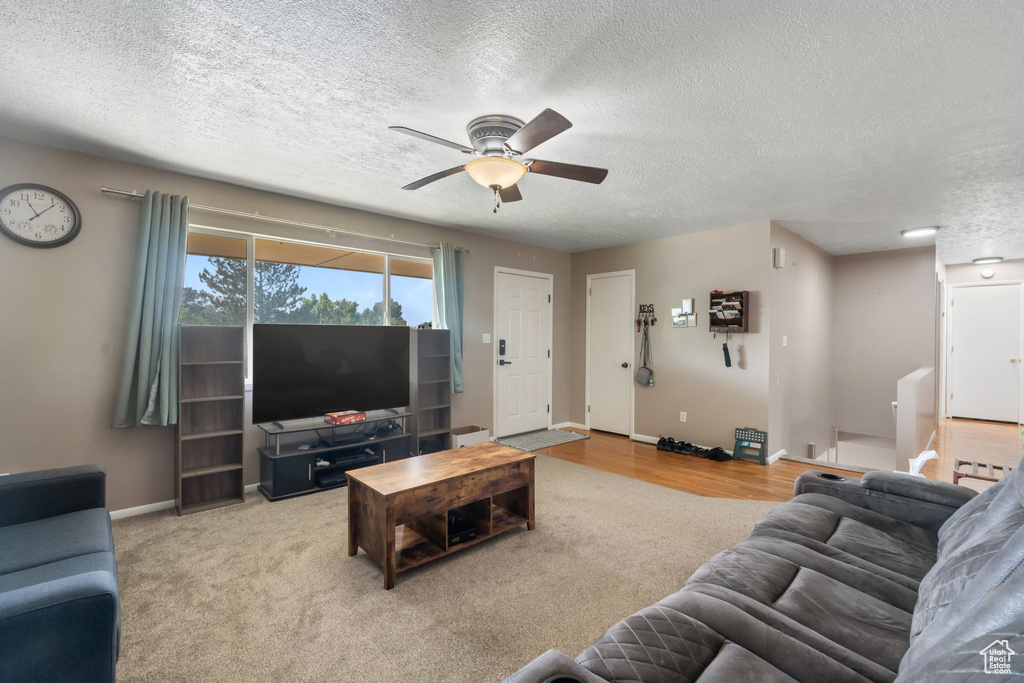 Photo 8 for MLS #2110602 at 816 Park Ln