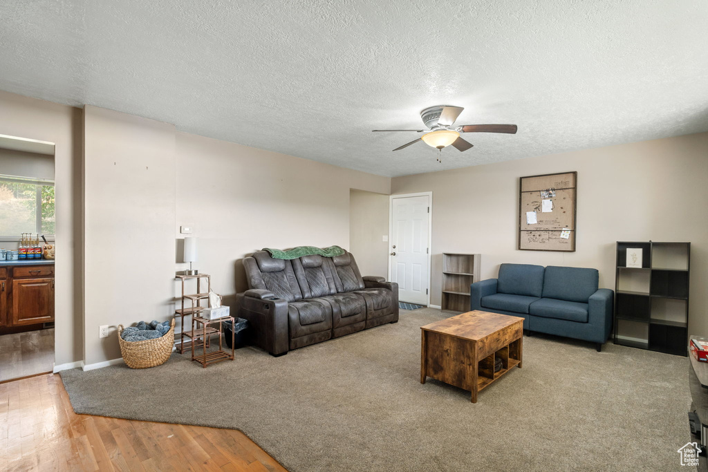 Photo 6 for MLS #2110602 at 816 Park Ln