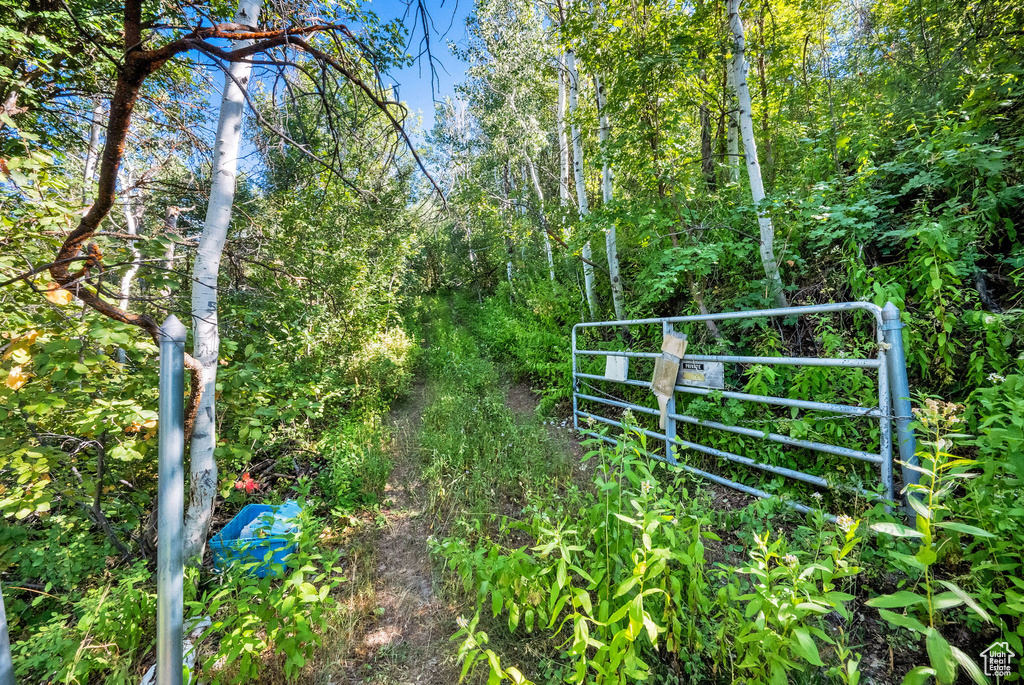 5071 S WOODLAND WAY Kamas, UT 84036