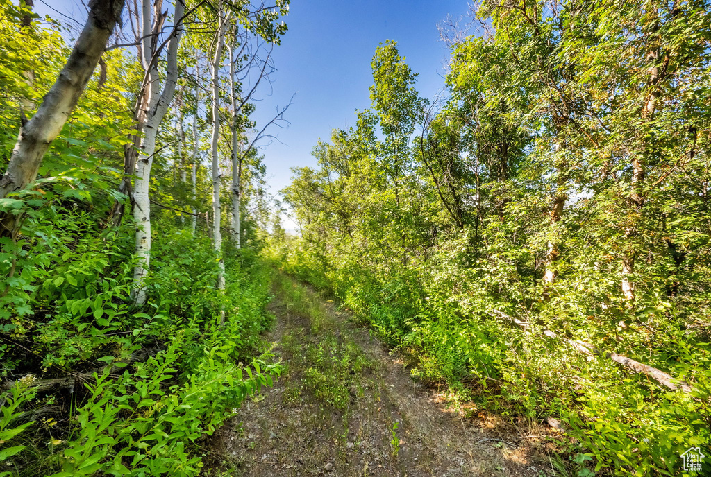 5071 S WOODLAND WAY Kamas, UT 84036