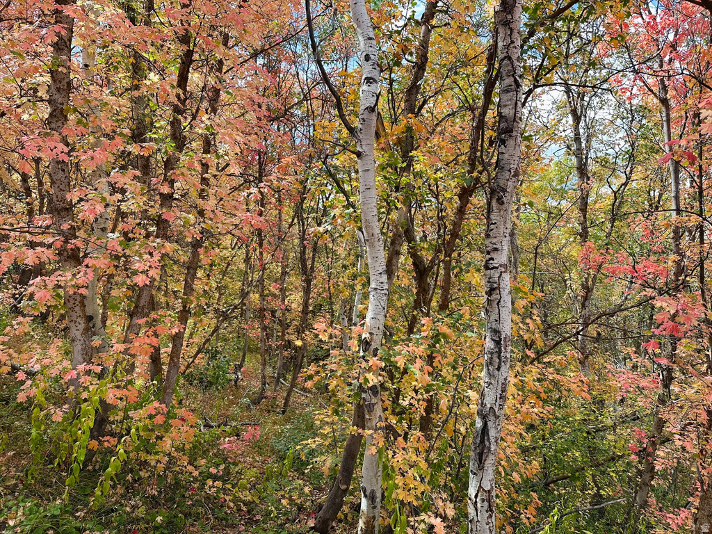 5071 S WOODLAND WAY Kamas, UT 84036