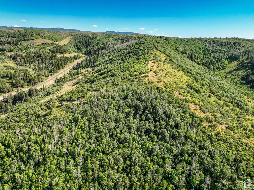 5071 S WOODLAND WAY Kamas, UT 84036