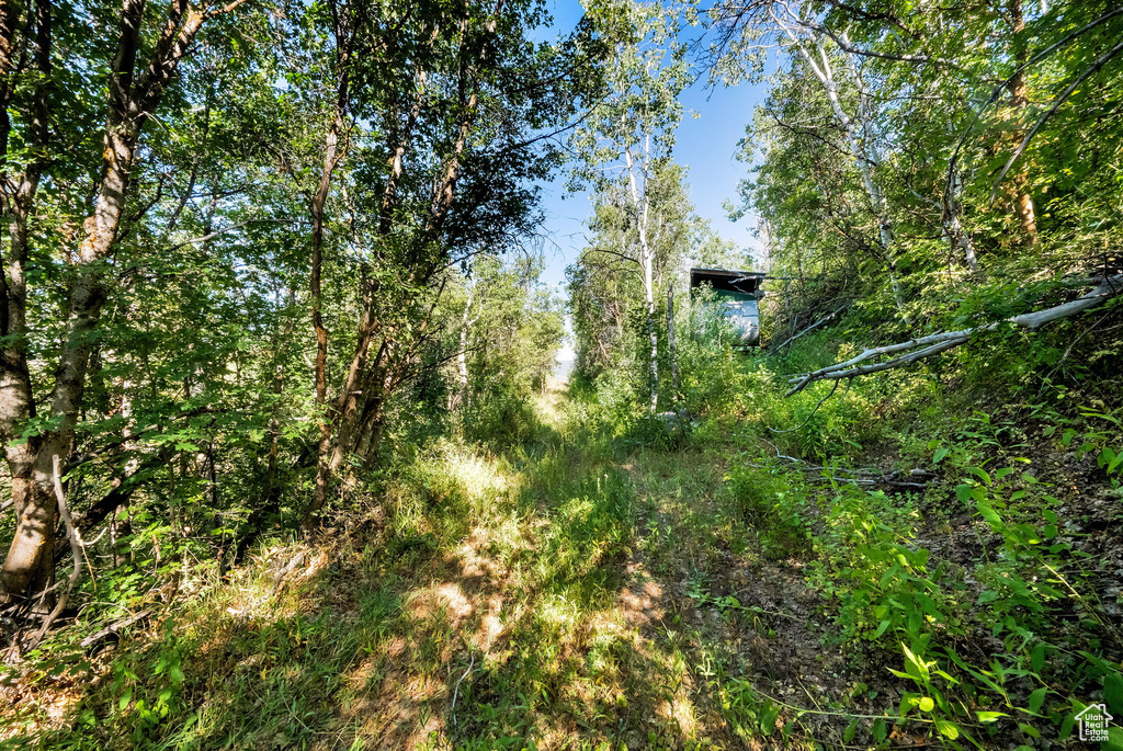 5071 S WOODLAND WAY Kamas, UT 84036