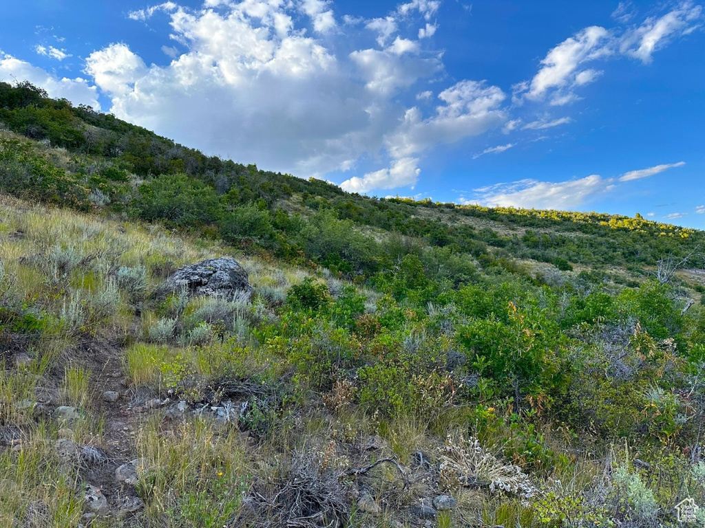 5071 S WOODLAND WAY Kamas, UT 84036