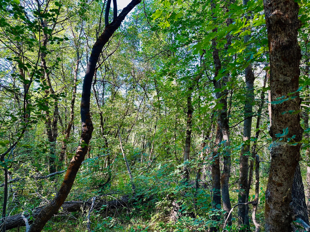 5071 S WOODLAND WAY Kamas, UT 84036