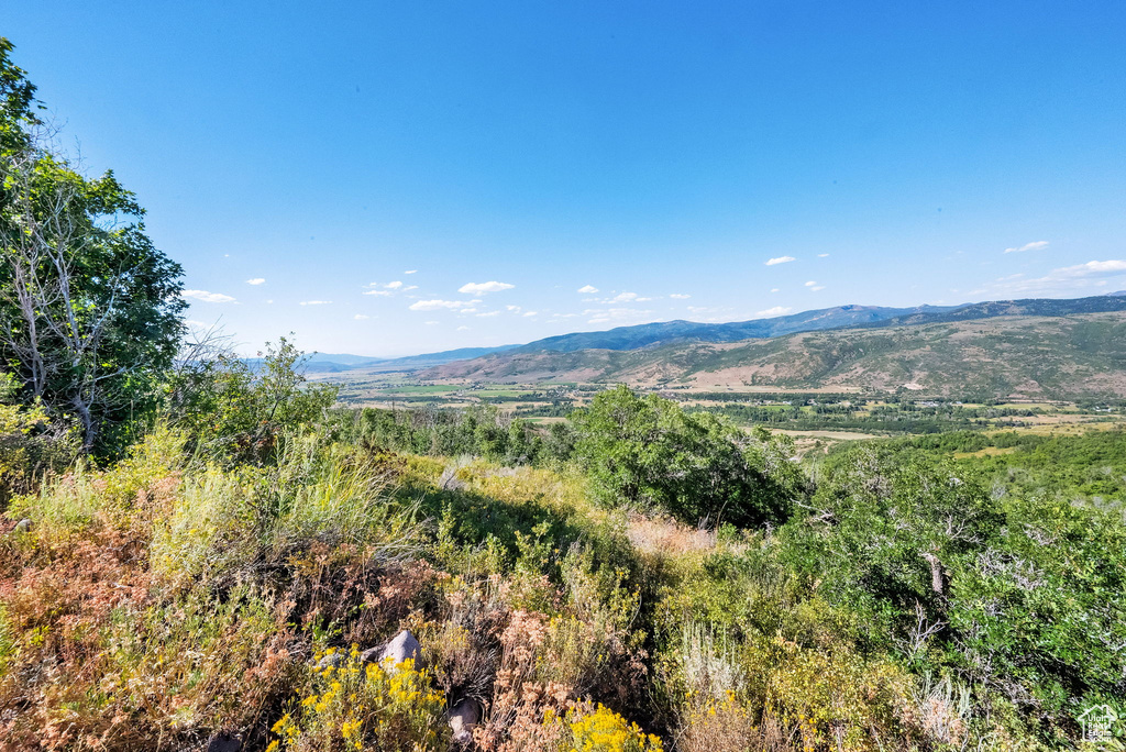 5071 S WOODLAND WAY Kamas, UT 84036