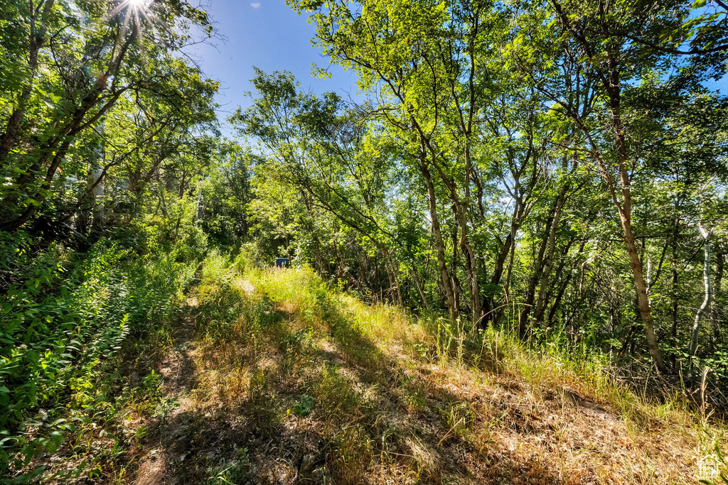 5071 S WOODLAND WAY Kamas, UT 84036