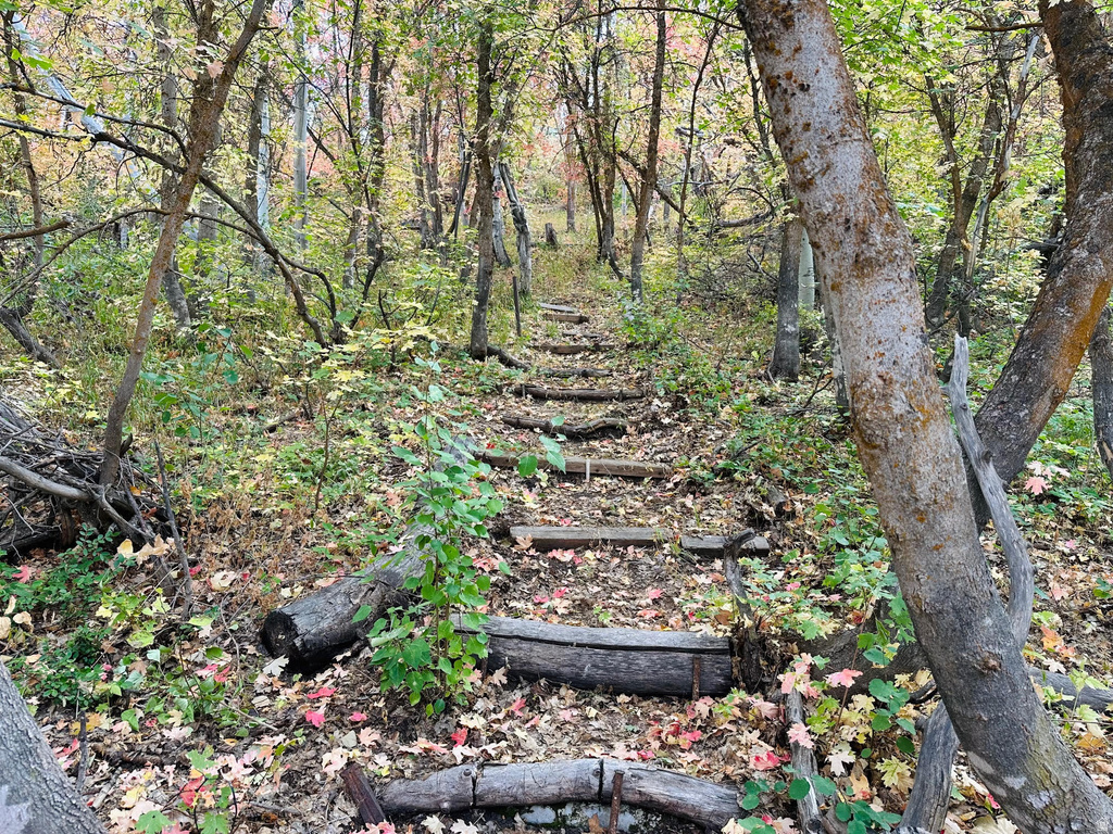 5071 S WOODLAND WAY Kamas, UT 84036