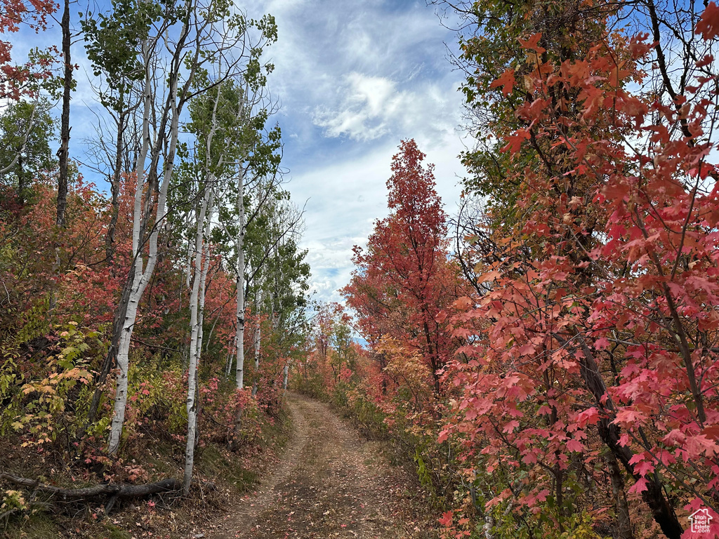 5071 S WOODLAND WAY Kamas, UT 84036