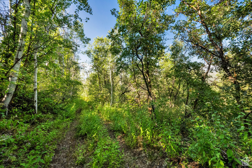 5071 S WOODLAND WAY Kamas, UT 84036