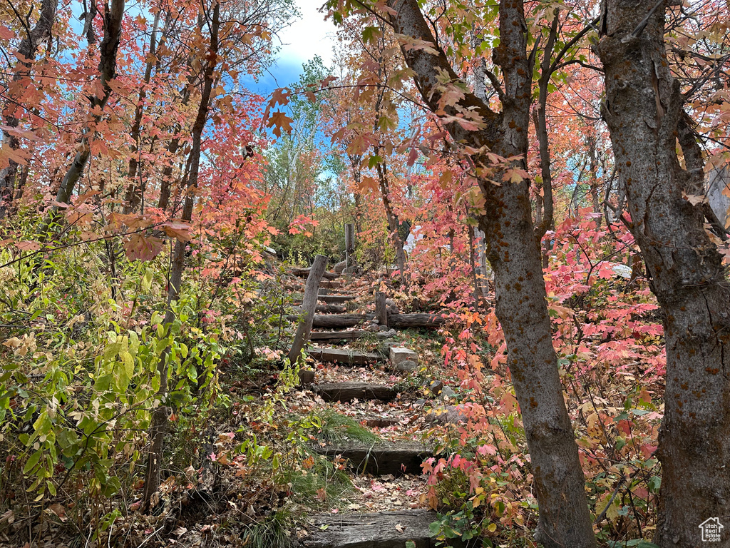 5071 S WOODLAND WAY Kamas, UT 84036