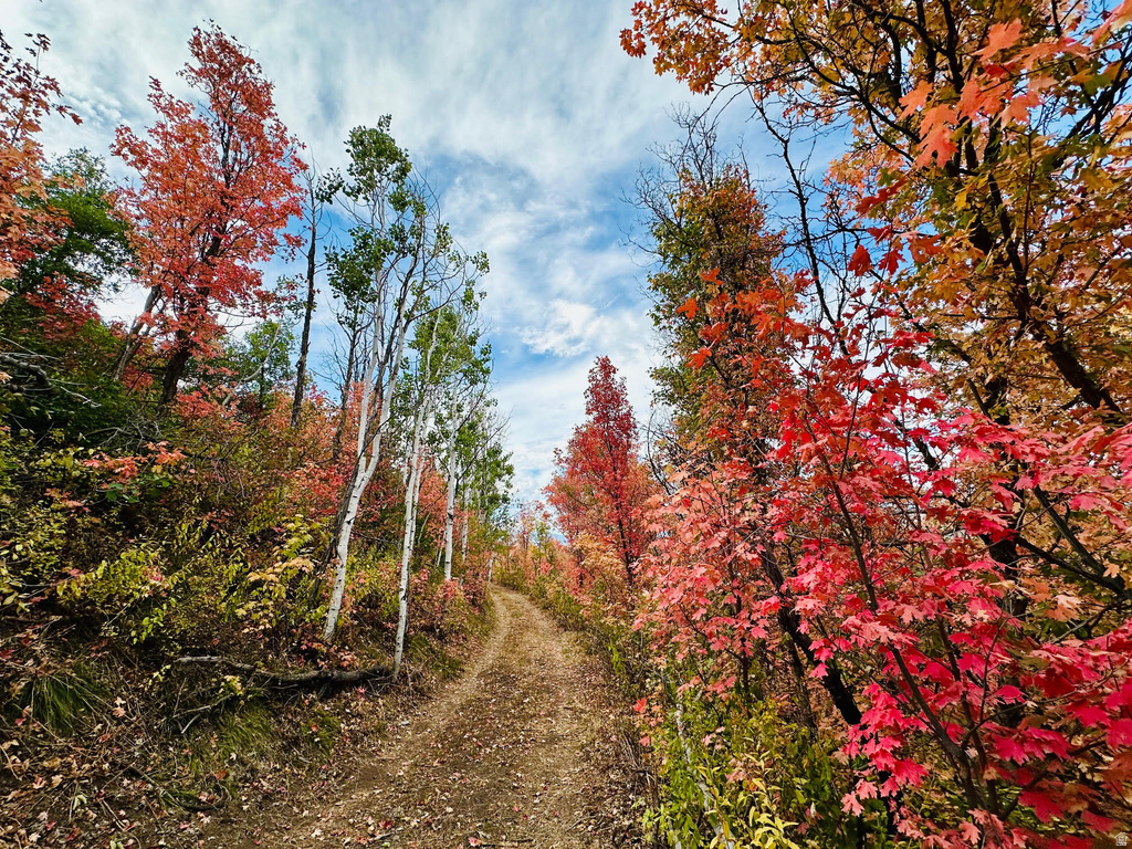 5071 S WOODLAND WAY Kamas, UT 84036