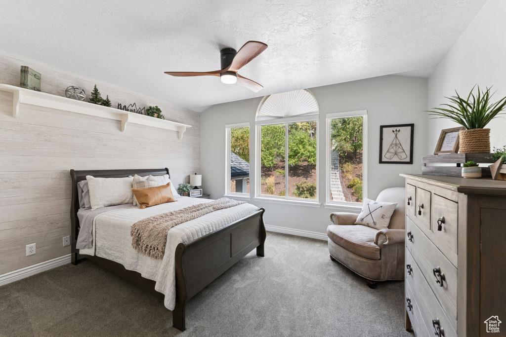 Photo 41 for MLS #2110679 at 2428 S Scenic Dr