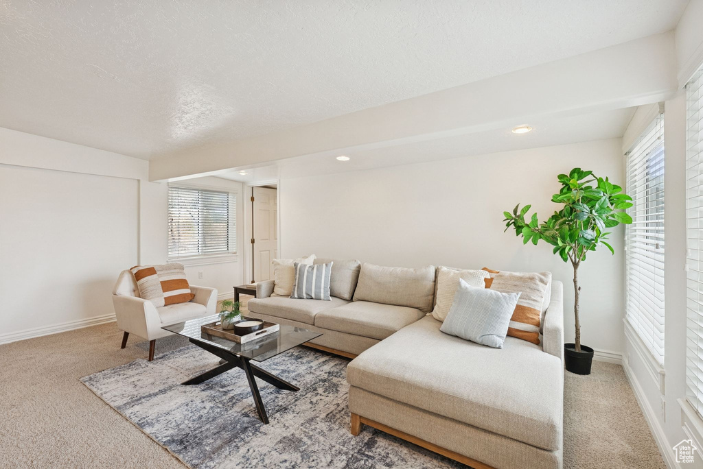 Photo 15 for MLS #2110689 at 13307 S 1300 East