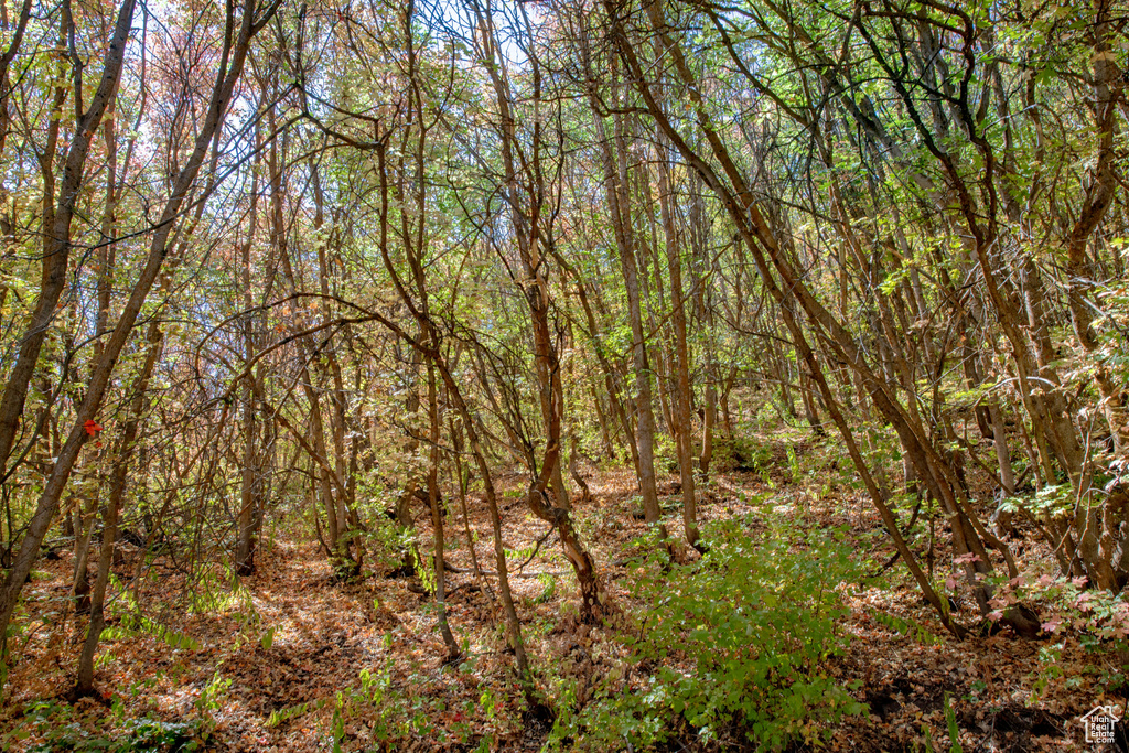 1037  NORTHSTAR Park City, UT 84060