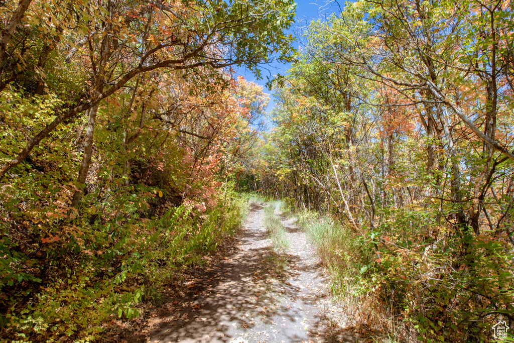 1037  NORTHSTAR Park City, UT 84060