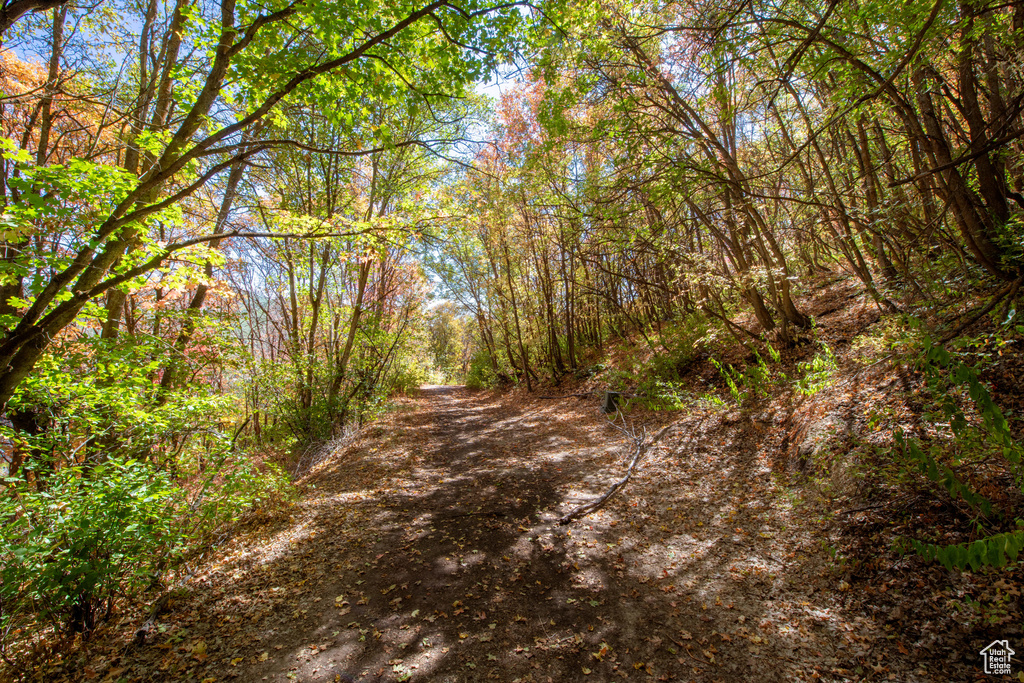 1037  NORTHSTAR Park City, UT 84060