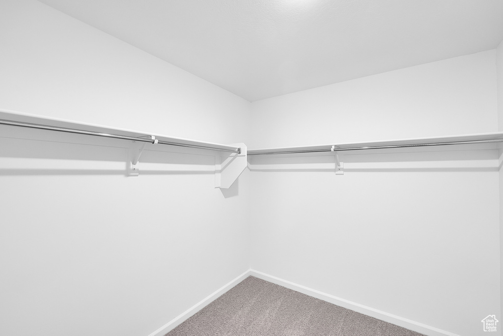 233 W 800 #345 Willard, UT 84340