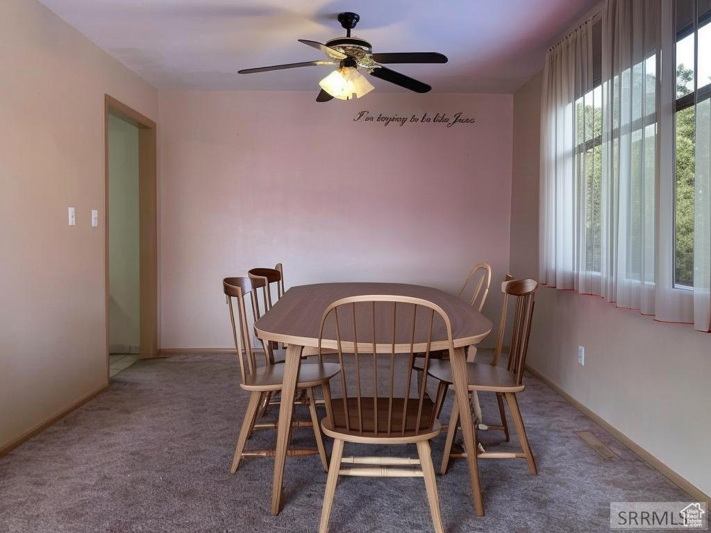 301 N ASHLAND DR Soda Springs, ID 83276