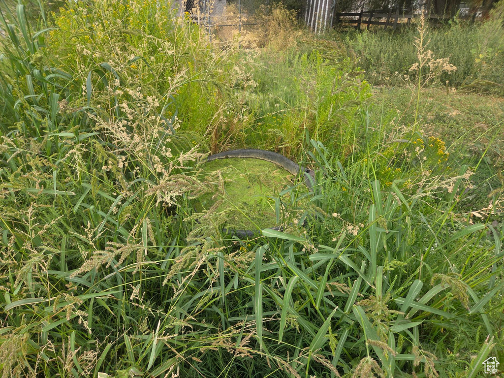  West Haven, UT 84401