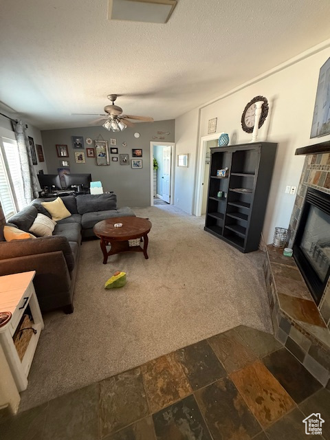 Photo 49 for MLS #2110750 at 723 E Rose Ln