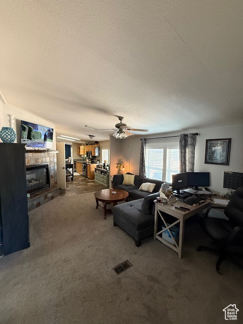 Photo 67 for MLS #2110750 at 723 E Rose Ln