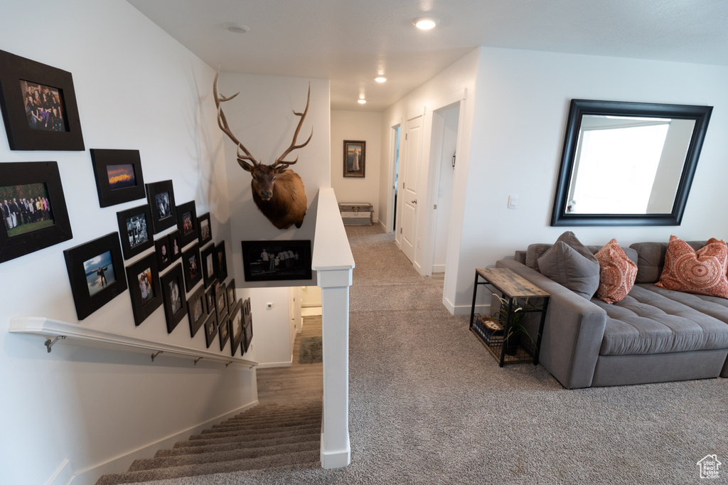 Photo 24 for MLS #2110782 at 1373 S Raintree Ln