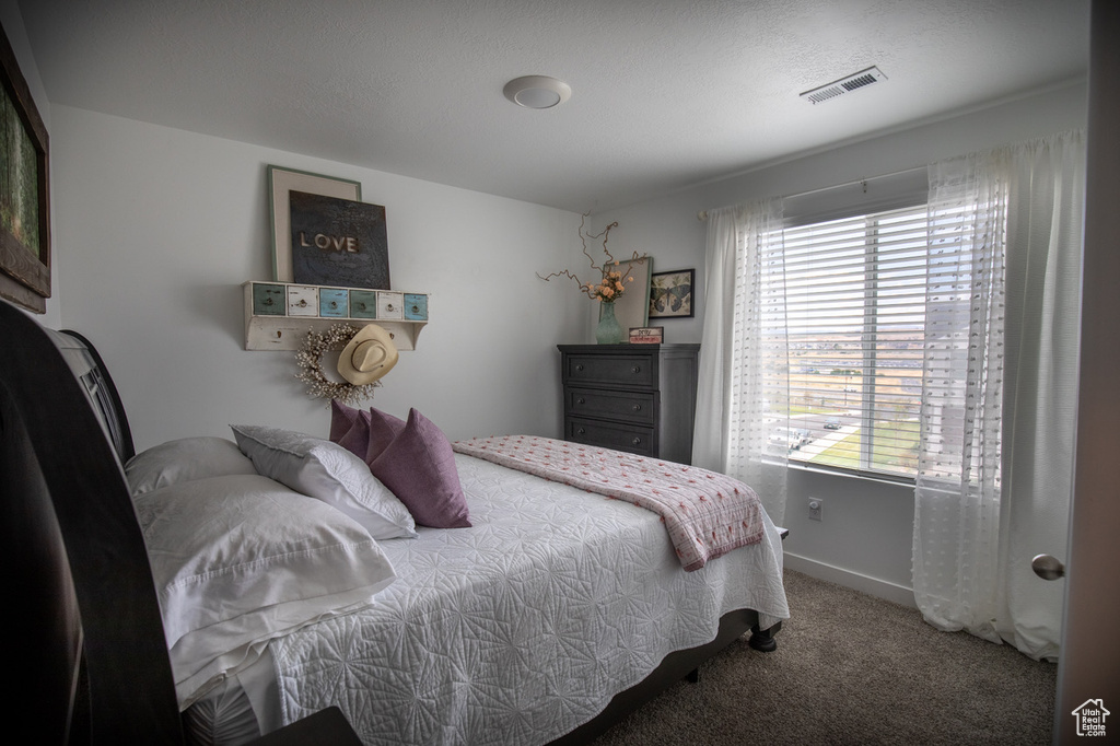Photo 39 for MLS #2110782 at 1373 S Raintree Ln