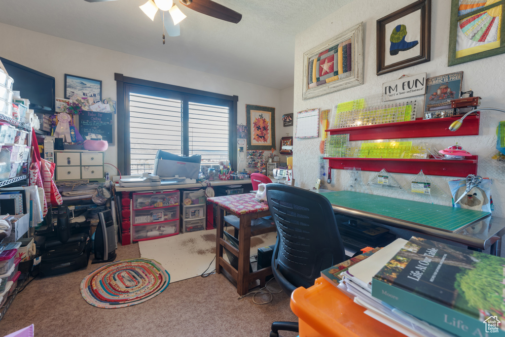 Photo 17 for MLS #2110787 at 1381 E Airport Rd