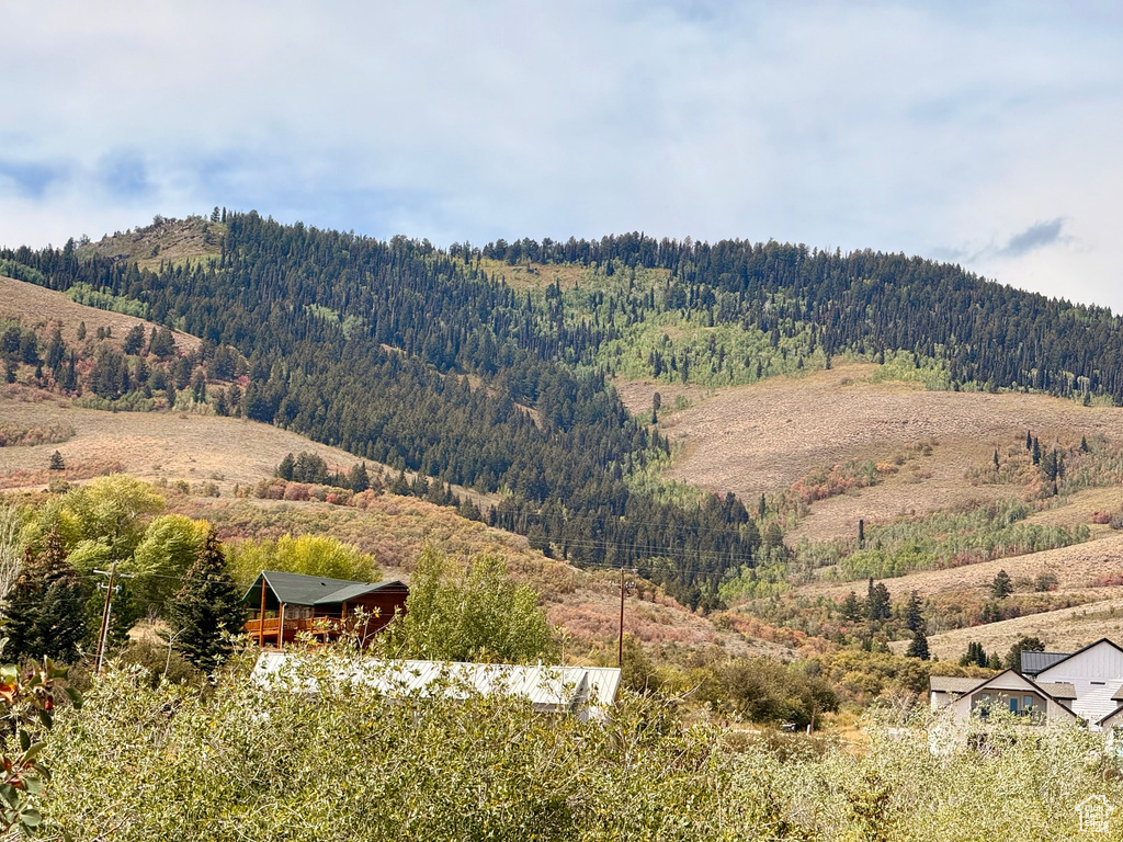 740  LOVELAND LN Fish Haven, ID 83287