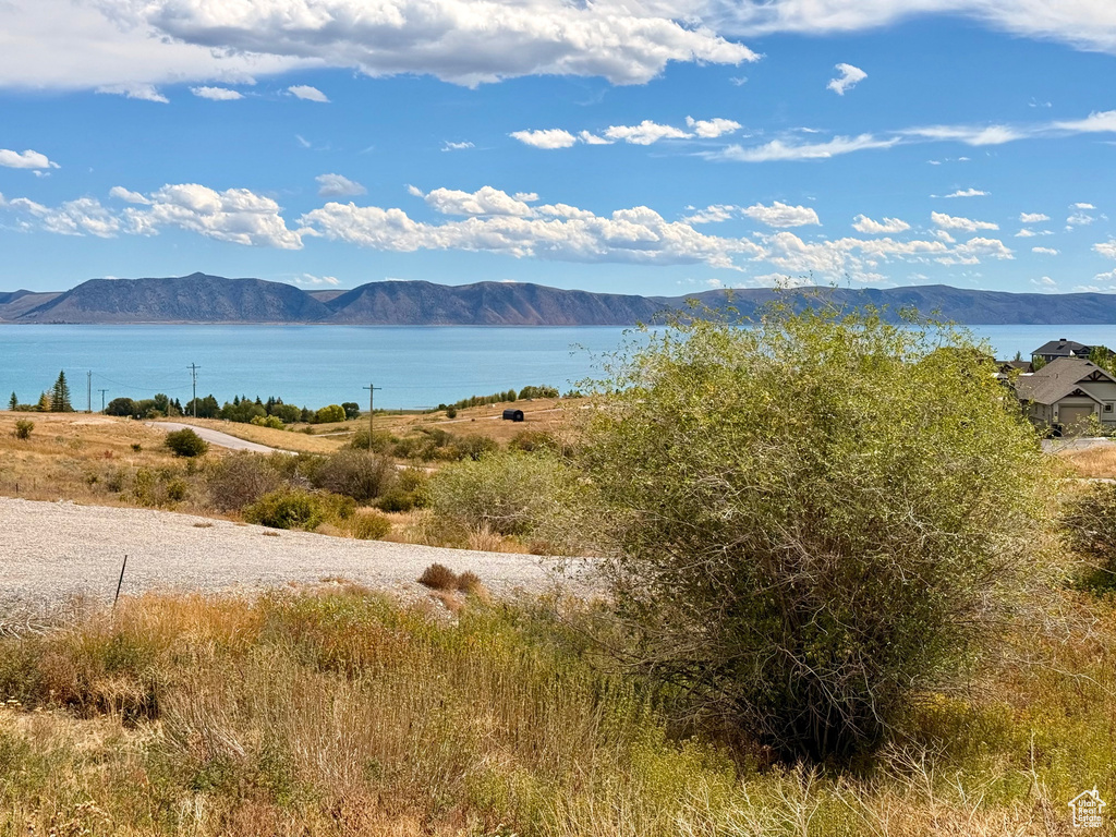 740  LOVELAND LN Fish Haven, ID 83287