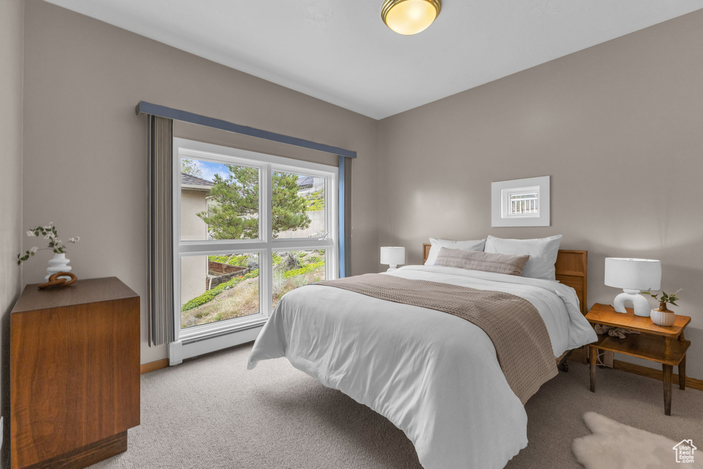 Photo 40 for MLS #2110804 at 2457 S Scenic Dr