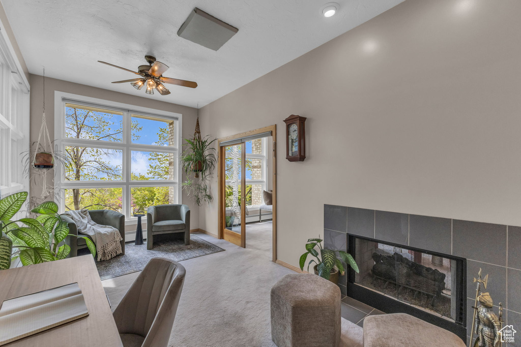 Photo 16 for MLS #2110804 at 2457 S Scenic Dr