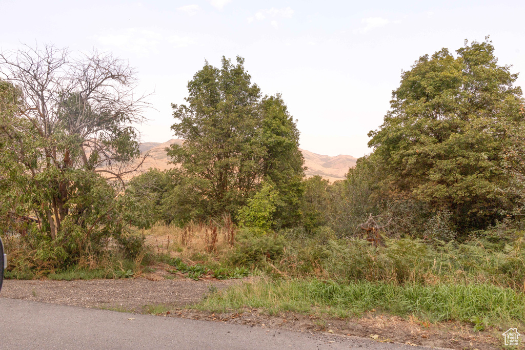 2562 N VIKING DR Eden, UT 84310