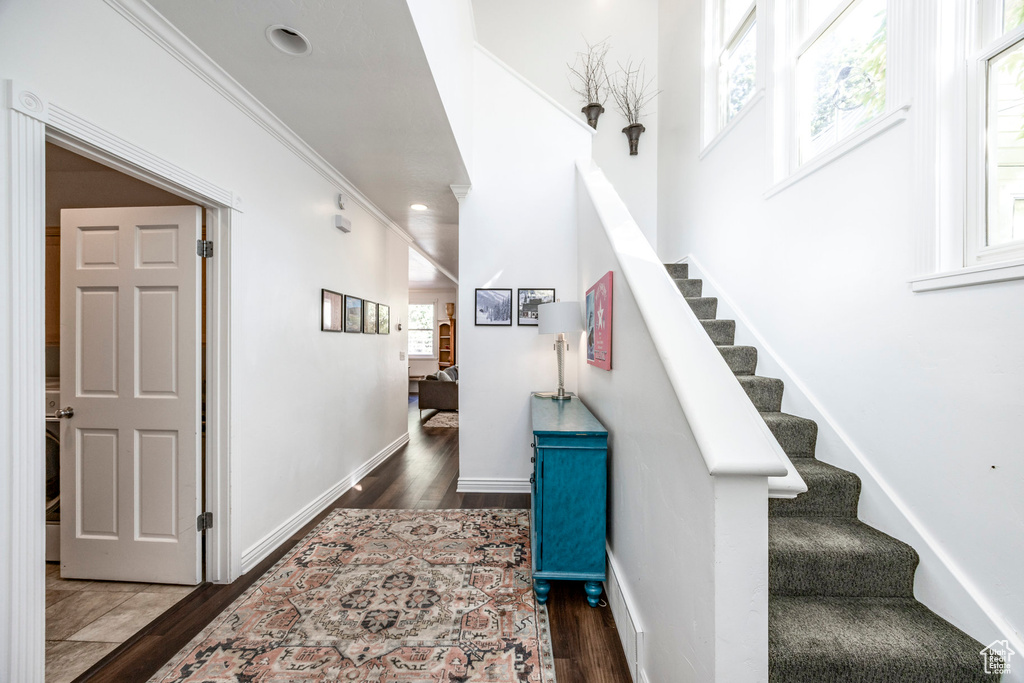 Photo 19 for MLS #2110859 at 125 Daly Ave
