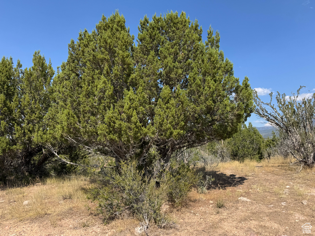 800 E 800 S Fillmore, UT 84631