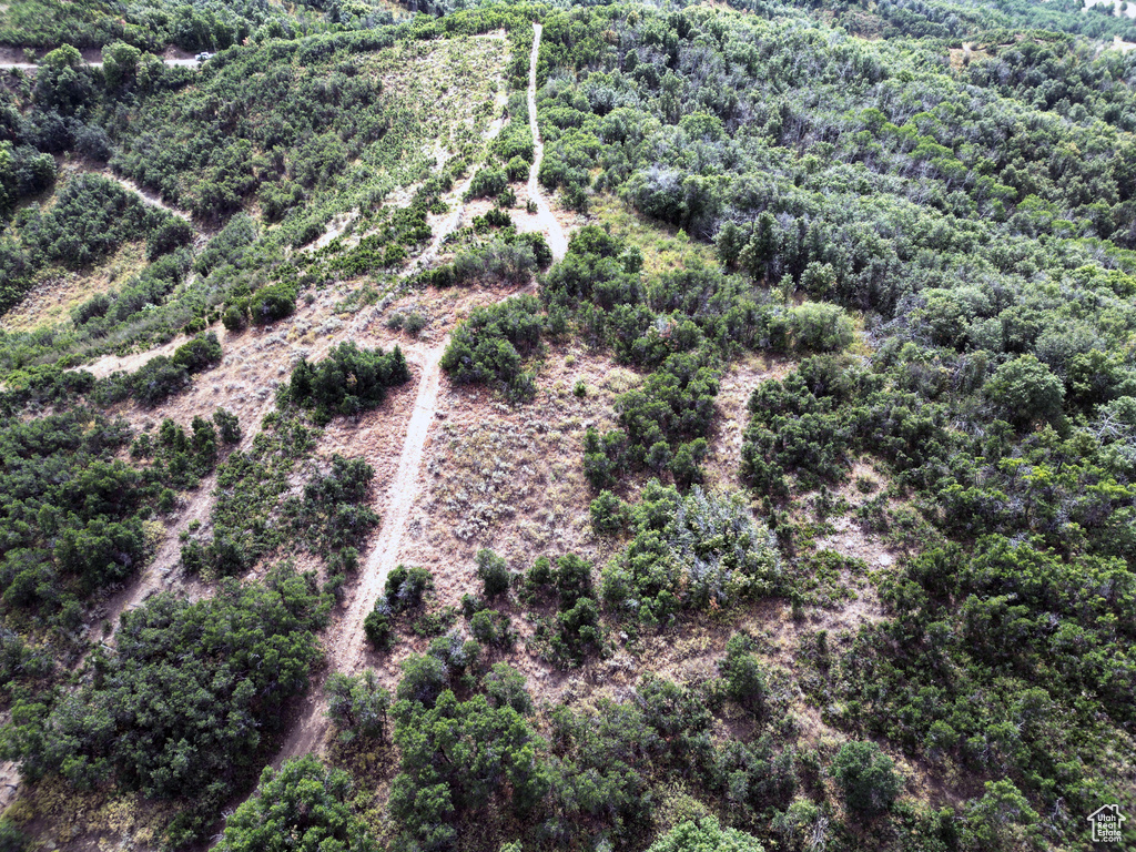 1948  MOOSE HOLW Coalville, UT 84017