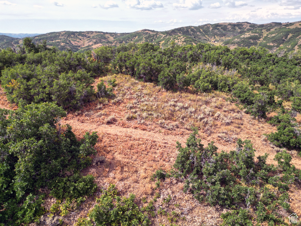 1948  MOOSE HOLW Coalville, UT 84017