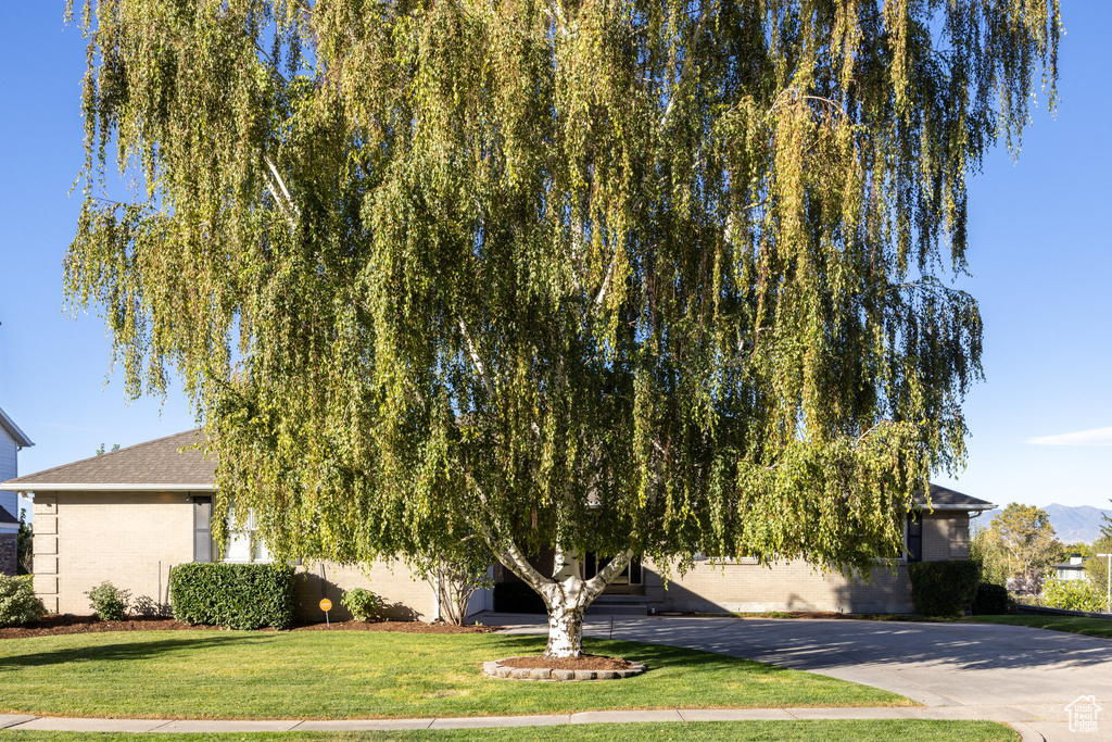 Photo 38 for MLS #2110993 at 4340 S Lynne Ln