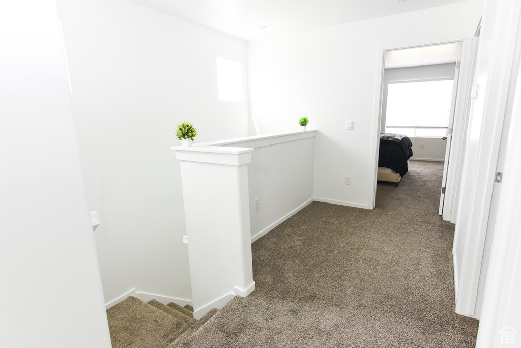 203 E SERENITY AVE #1214 Tooele, UT 84074