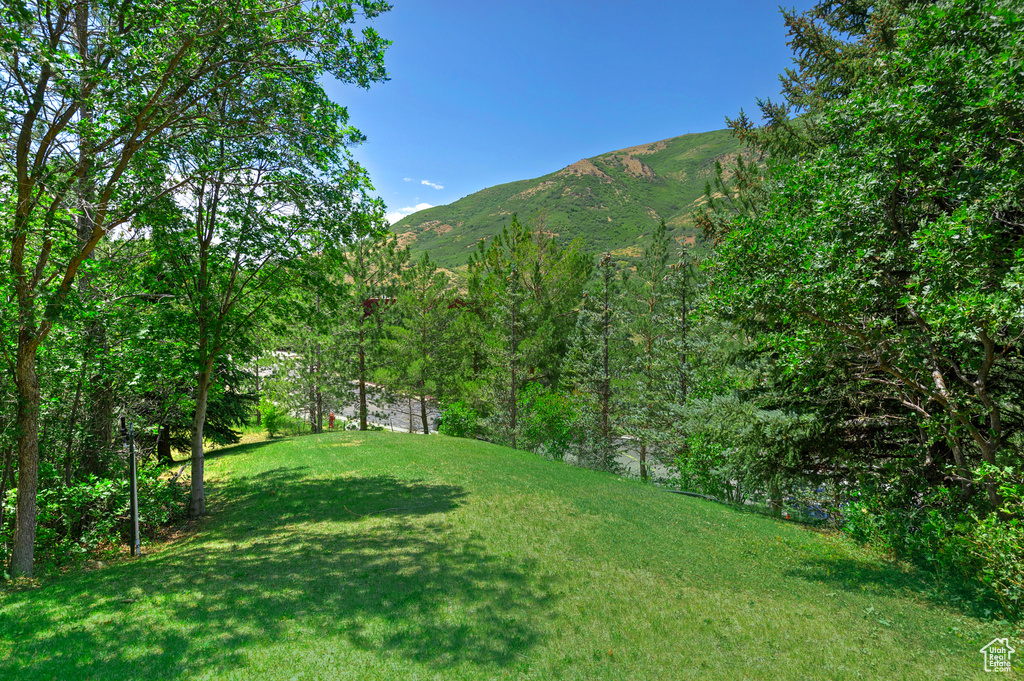 4358 E LANEVIEW CT Emigration Canyon, UT 84108