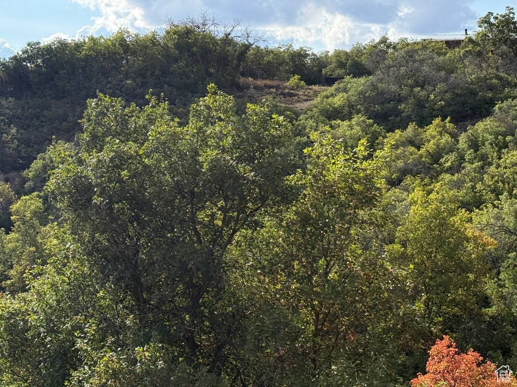 1  ARCHIES HIDEAWAY Fairview, UT 84629