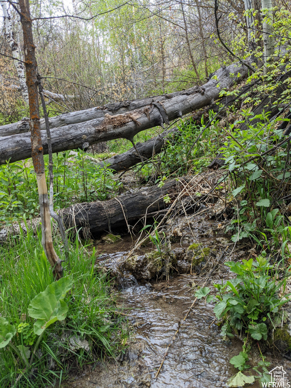 1  ARCHIES HIDEAWAY Fairview, UT 84629