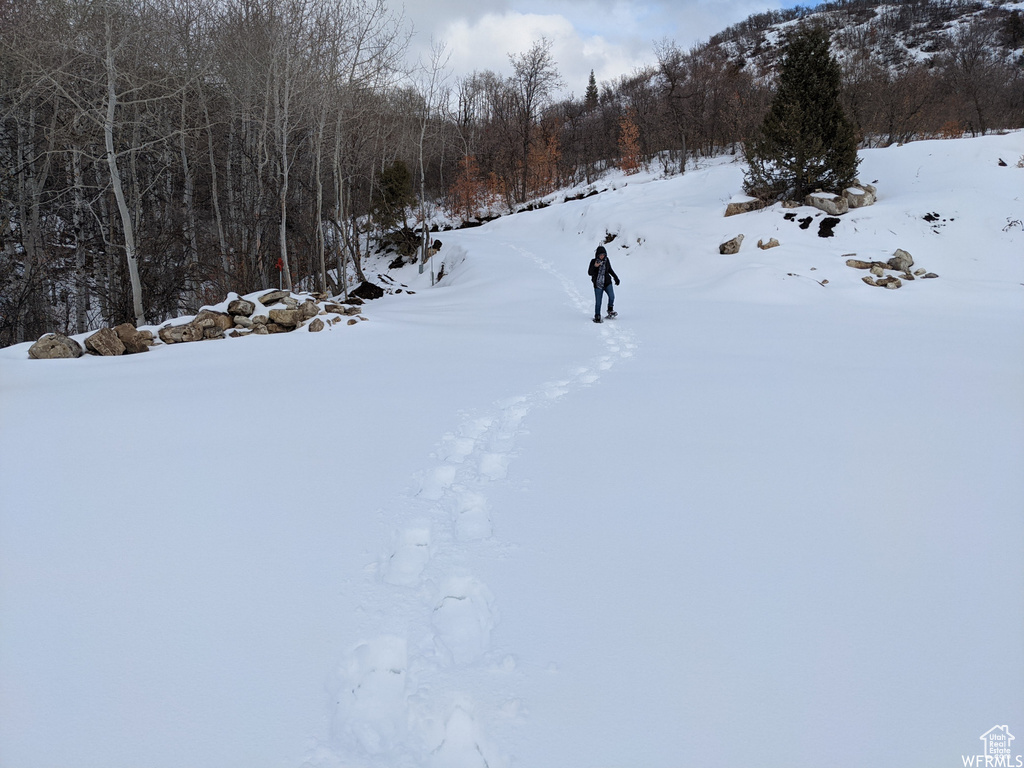 1  ARCHIES HIDEAWAY Fairview, UT 84629