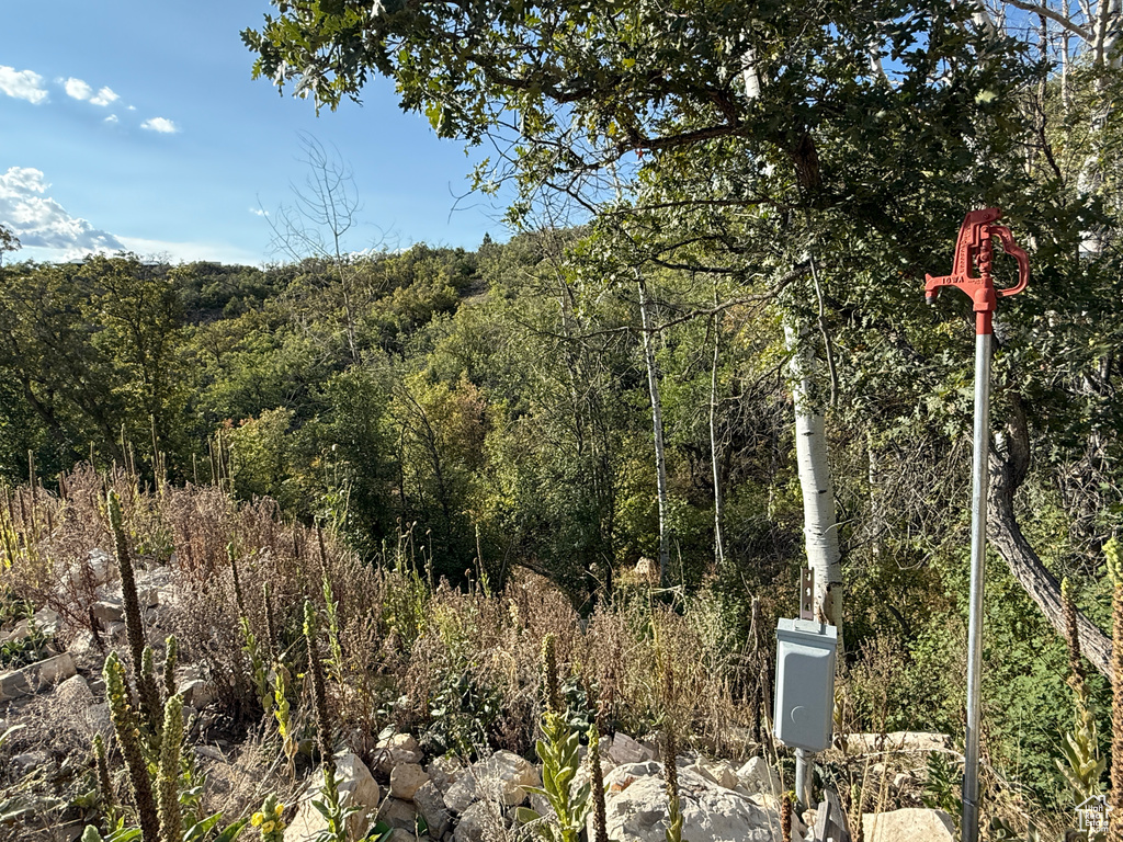 1  ARCHIES HIDEAWAY Fairview, UT 84629