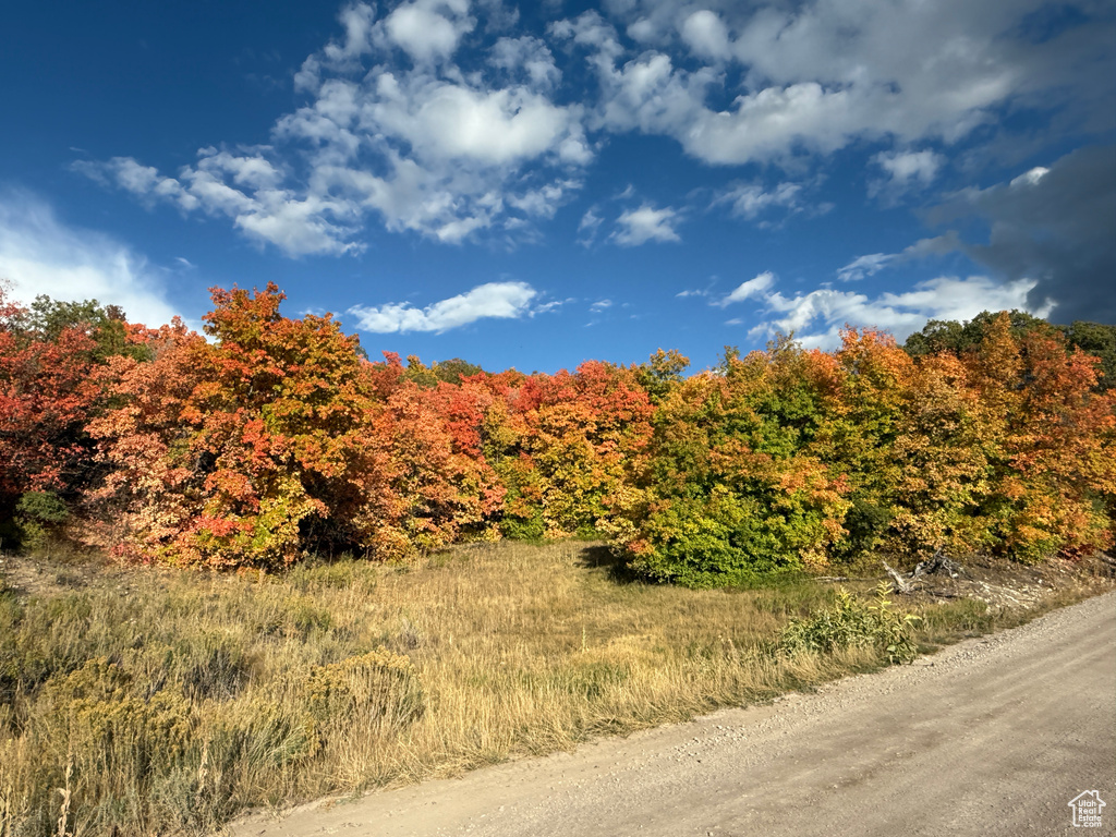 1  ARCHIES HIDEAWAY Fairview, UT 84629