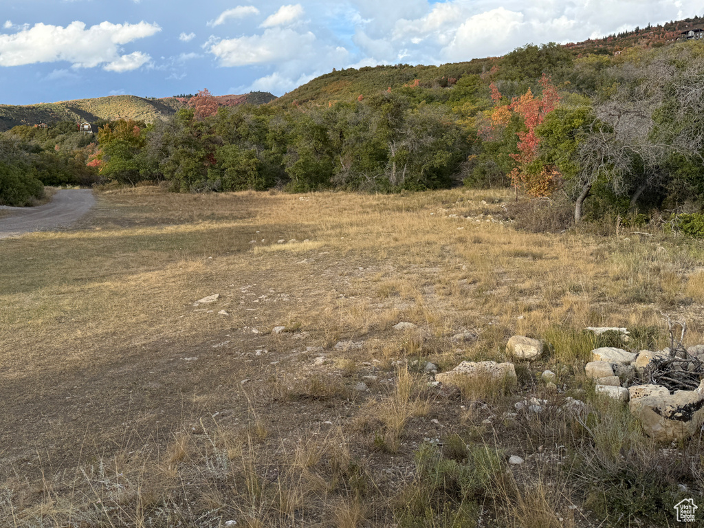 1  ARCHIES HIDEAWAY Fairview, UT 84629