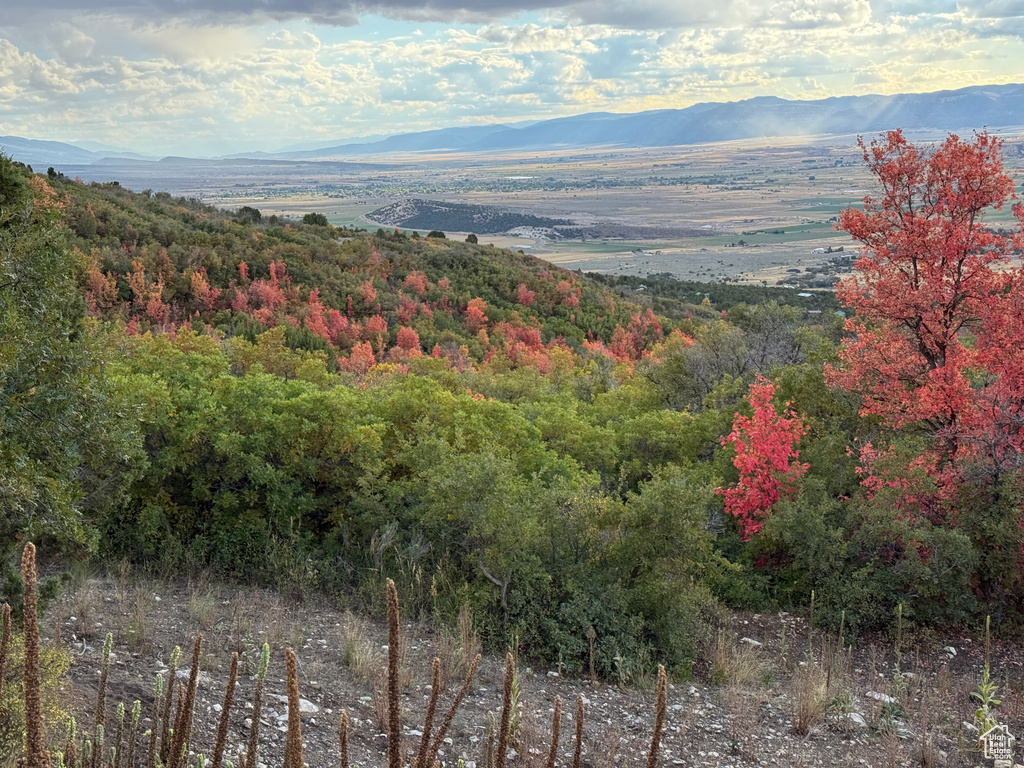 1  ARCHIES HIDEAWAY Fairview, UT 84629
