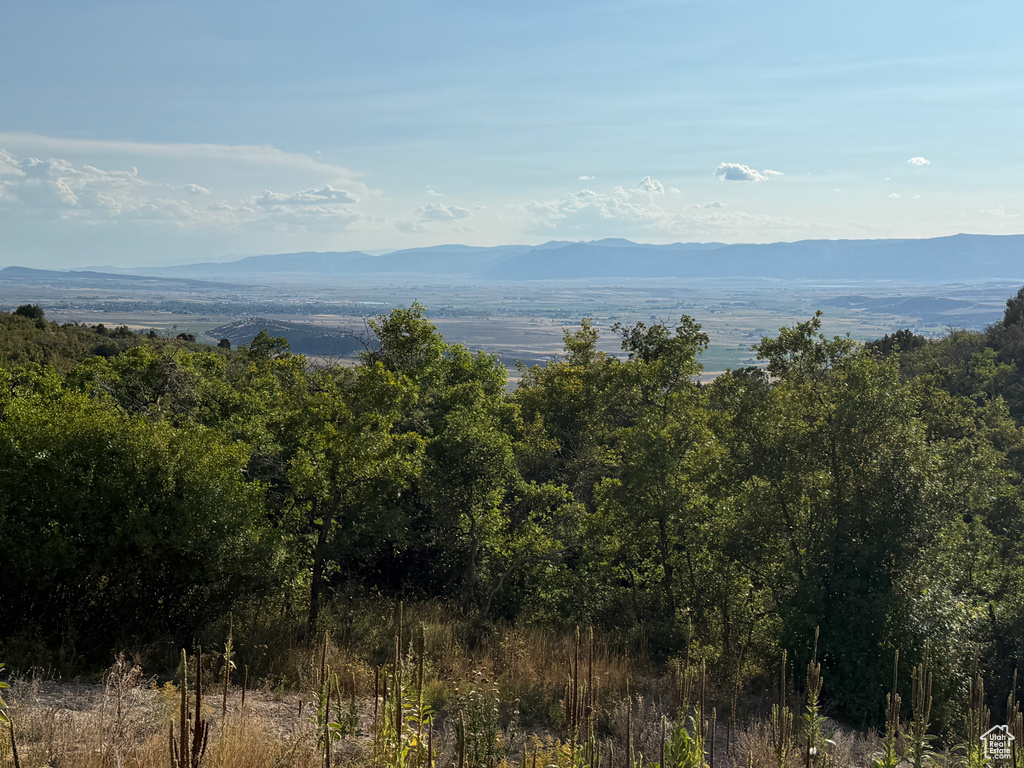 1  ARCHIES HIDEAWAY Fairview, UT 84629